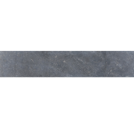 Lux Hardsteen Vijverafdekranden Asian Bluestone 3x20x100 [300170]